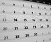 Area Eventos y Festividades